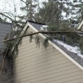 How to Protect Your Roof From Tree Damage