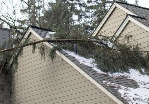 How to Protect Your Roof From Tree Damage